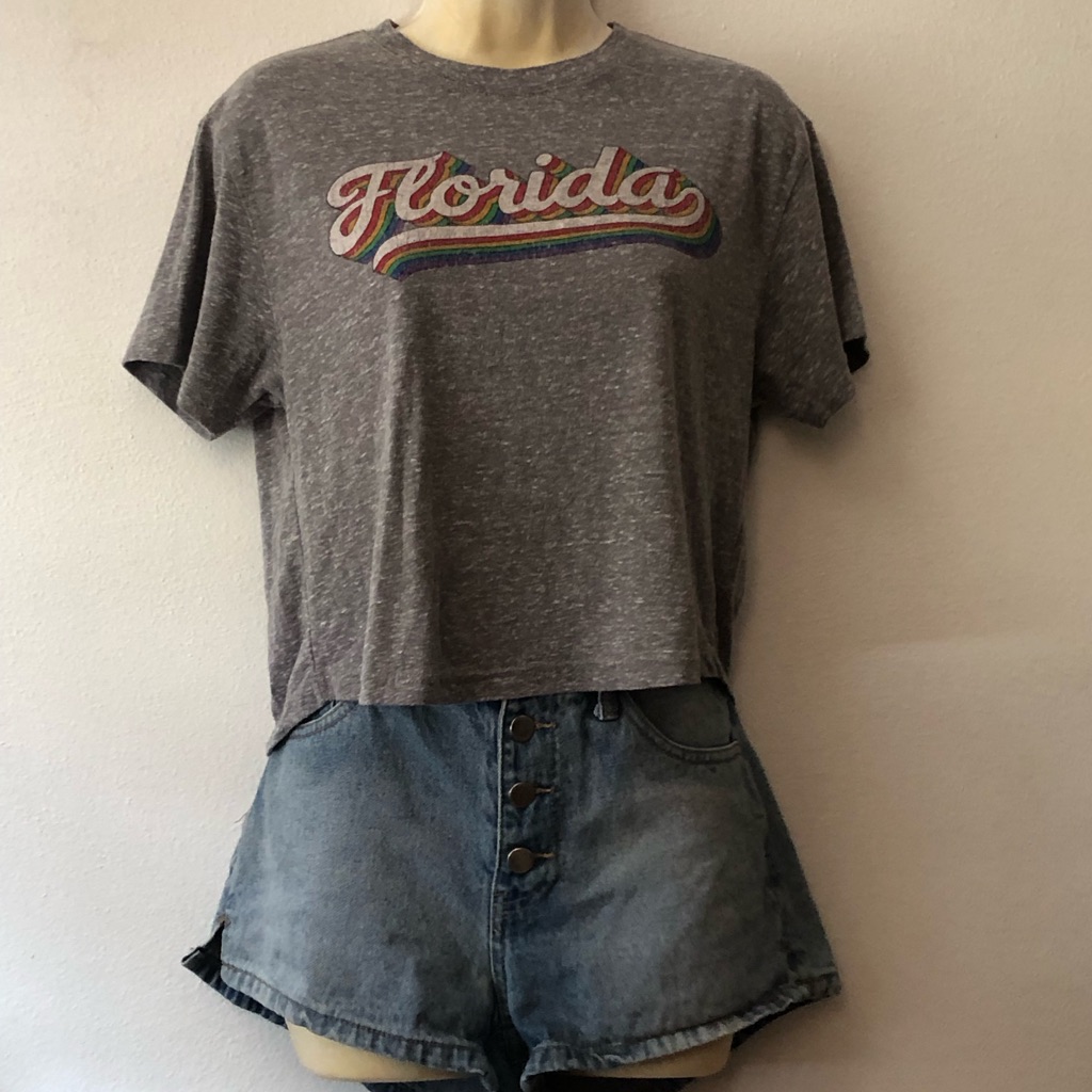 Royce Brand Florida Rainbow Stripe Graphic T Pride Royce Brand Florida Rainbow Stripe Graphic T Pride